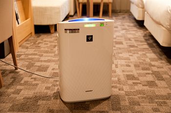 In-Room Amenity