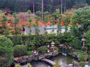 Guestroom View