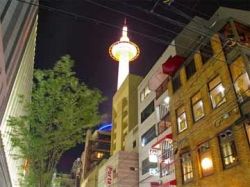其它