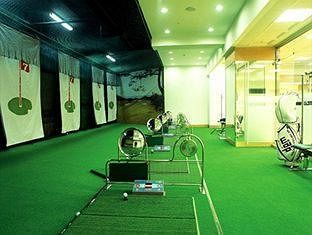 Indoor Golf Driving Range