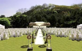 Outdoor Wedding Area