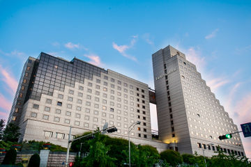 外觀