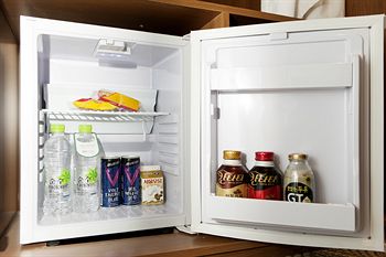 Mini-Refrigerator