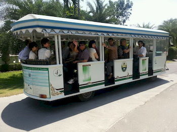 Airport Shuttle