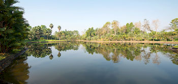 Lake