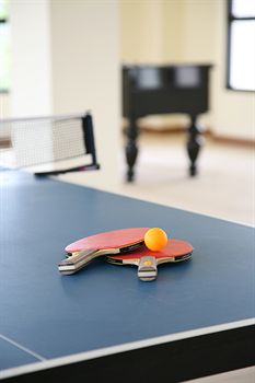 Sports Facility