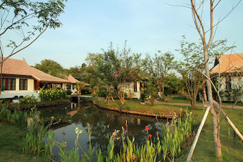 Natural Pool