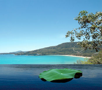 Infinity Pool