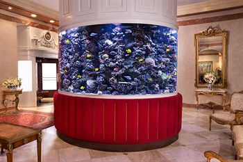 金伯利套房飯店 The Kimberly Hotel & Suites