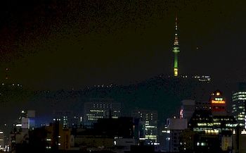 View from Hotel