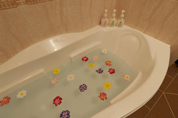 Deep Soaking Bathtub