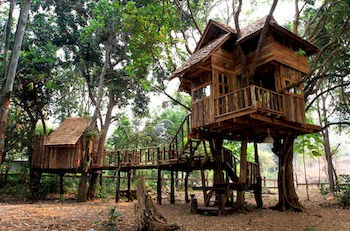 雷貝安怕薩克樹屋渡假村 Rabeang Pasak Treehouse Resort