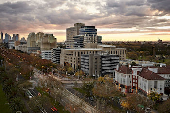 City View