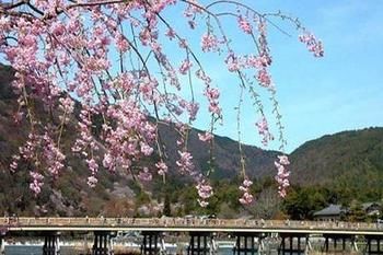 Hotel-MyStays-Kyoto-Shijo-Property-Amenity