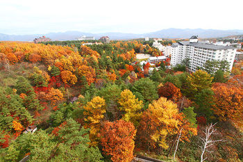 Guestroom View