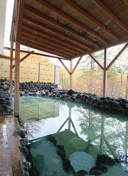 Natural Pool