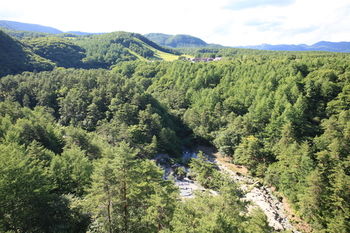 View from Hotel