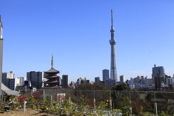 City View