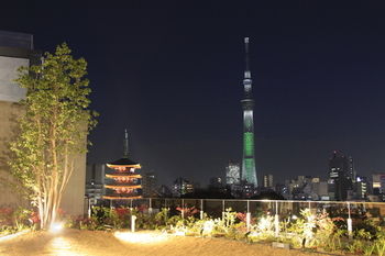 City View