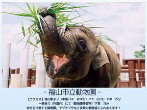景觀