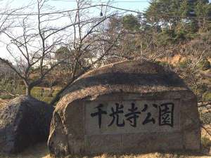 景觀