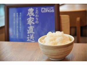 餐食
