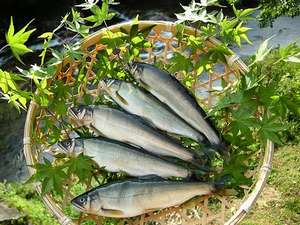 餐食