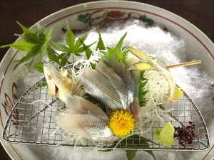 餐食