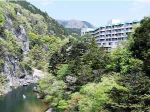鬼怒川皇家酒店 Kinugawa Royal Hotel