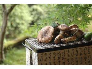 餐食