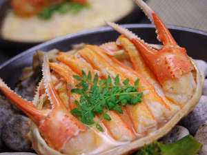 餐食