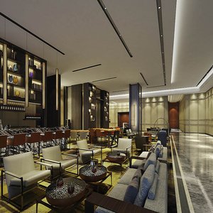 酒吧/休閒廳