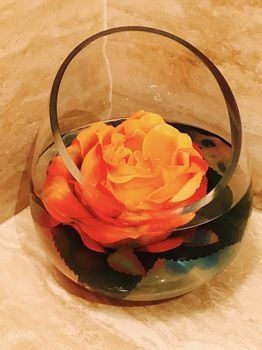 In-Room Amenity