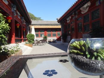 Courtyard View