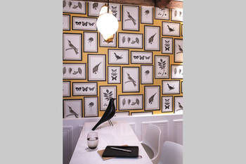 In-Room Amenity