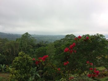 View from Hotel