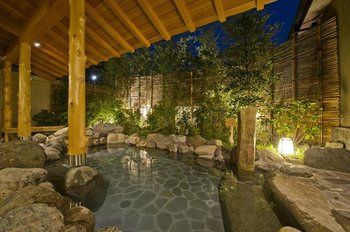 Natural Pool