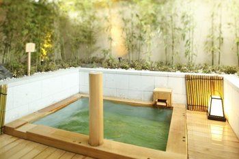 Natural Pool
