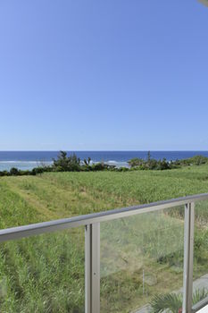 Guestroom View