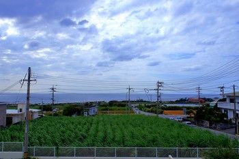 View from Hotel