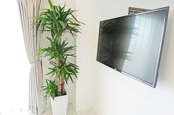 In-Room Amenity