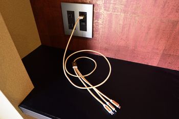In-Room Amenity