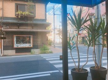 View from Hotel