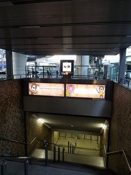 City Shuttle