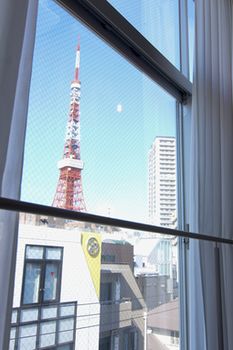 Guestroom View