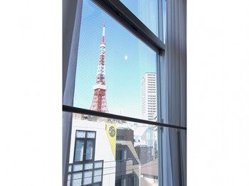 Guestroom View