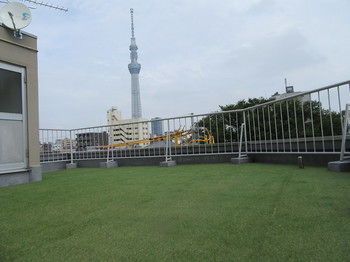 View from Hotel