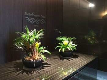 Hotel Interior