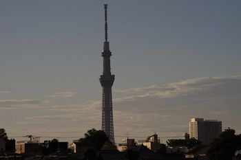 City View