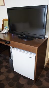 Mini-Refrigerator